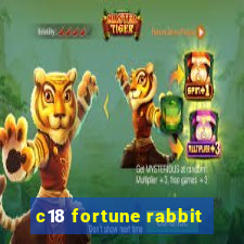 c18 fortune rabbit